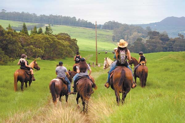Trail ride benefits St. Jude Children’s Hospital